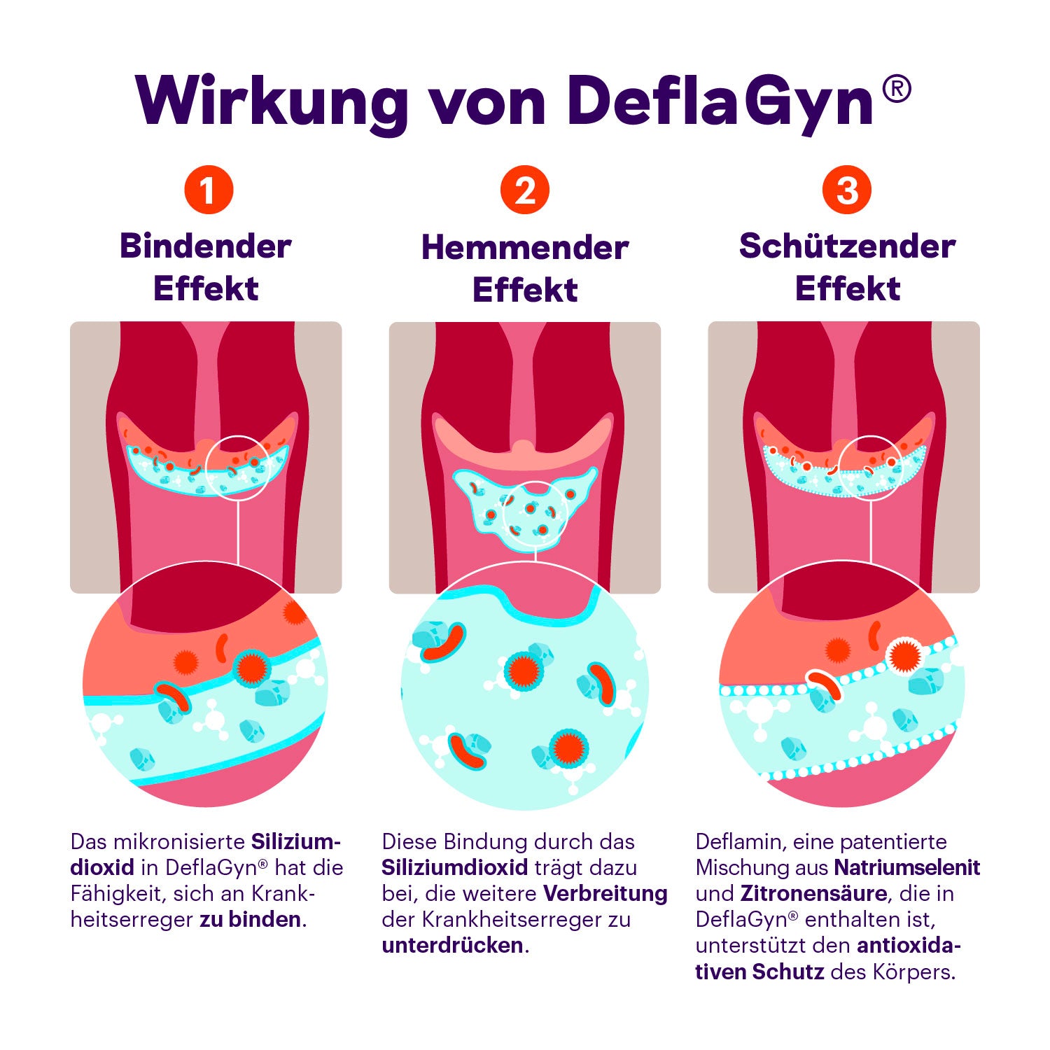 Deflagyn online bei Prio One kaufen