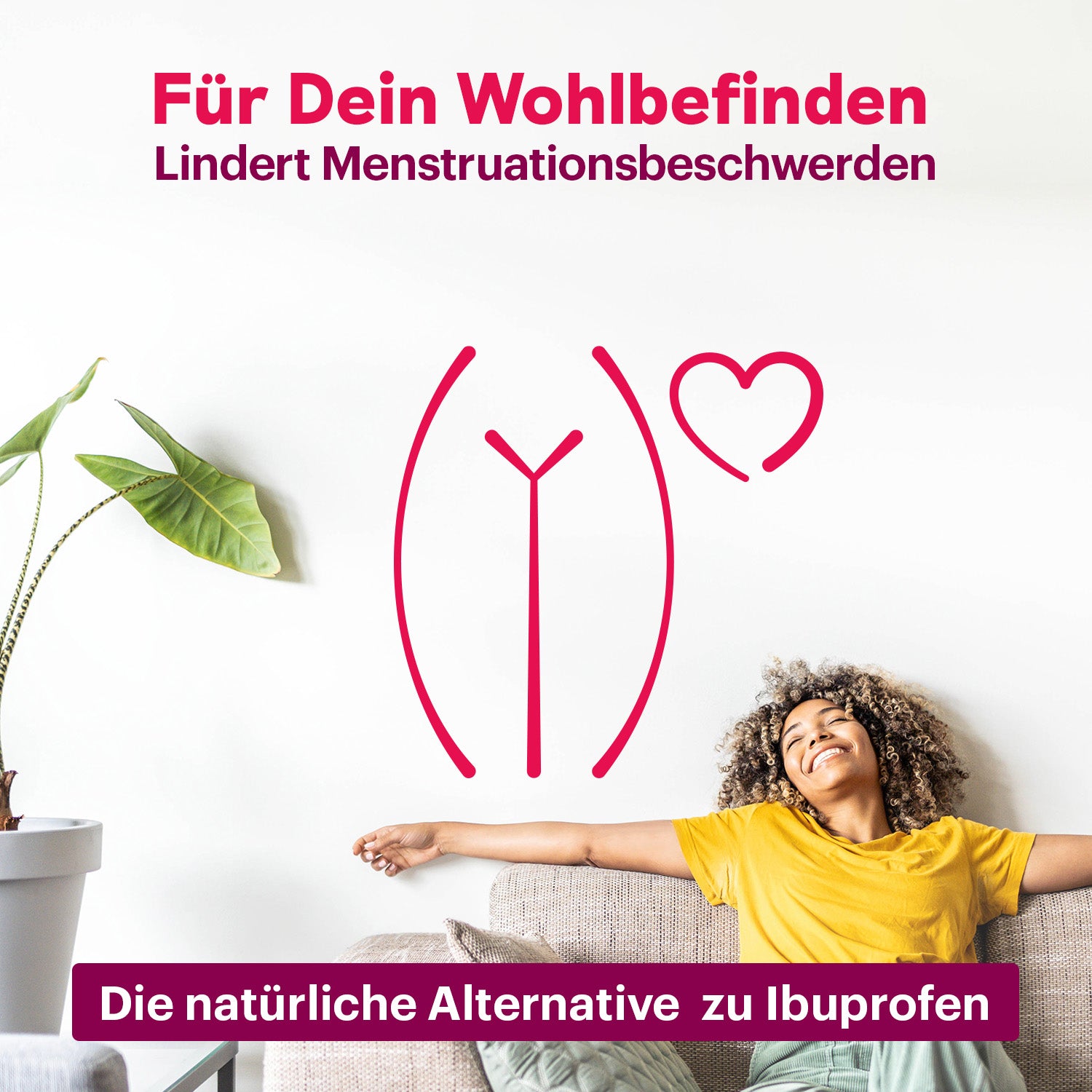 Anti-Periodenbeschwerden Komplex