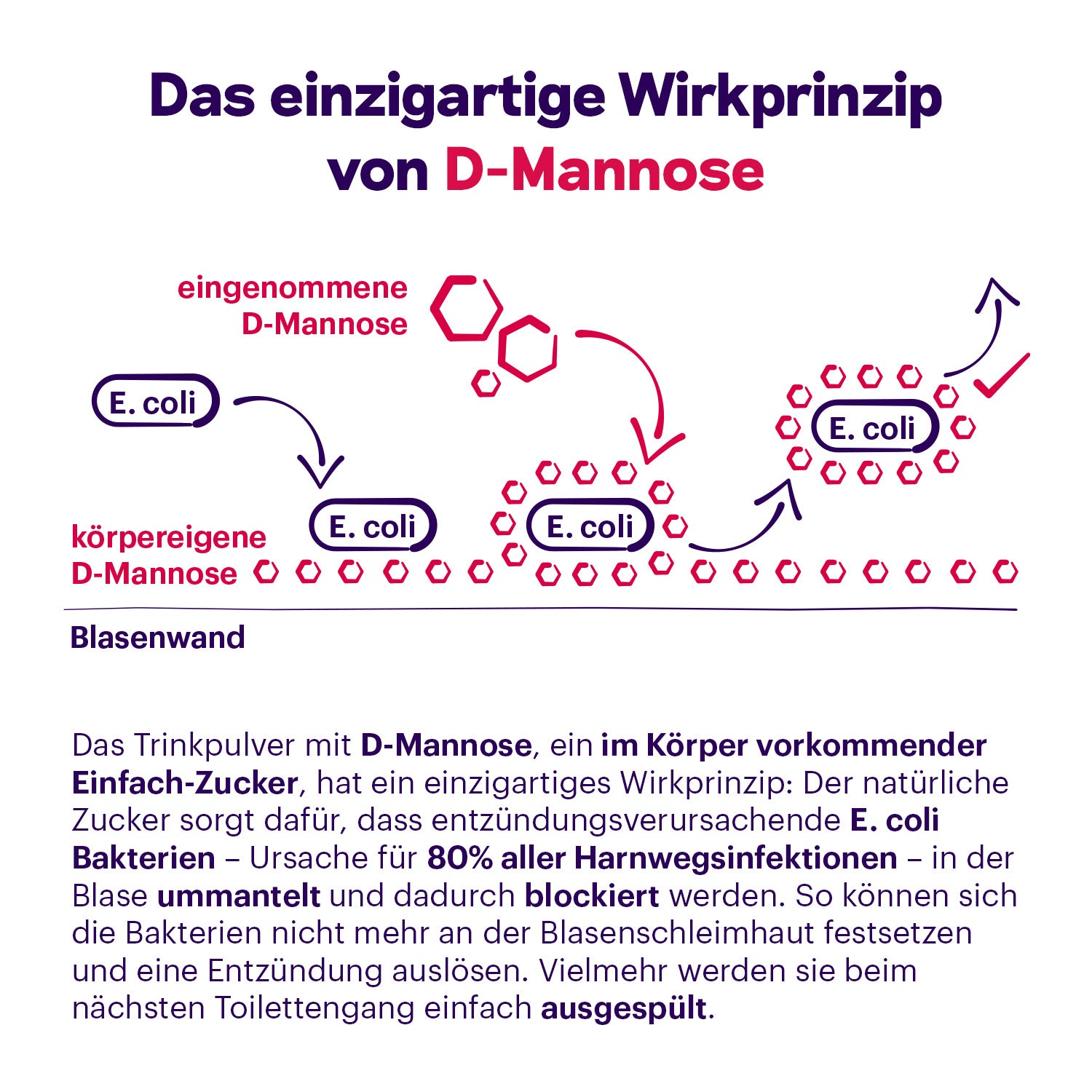 Femannose F mit Preiselbeer-Extrakt und D-Mannose