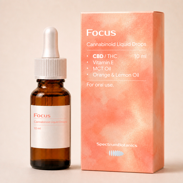 Focus