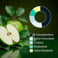 KI-generiertes Bild: SpectrumBotanics Sour Apple – Terpenprofil vor Äpfeln