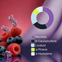 KI-generiertes Bild: SpectrumBotanics Berries No.1 – Terpenprofil vor Beeren