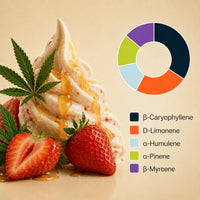 KI-generiertes Bild: SpectrumBotanics Gelato #33 – Terpenprofil vor Eis und Erdbeeren