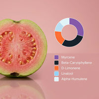 KI-generiertes Bild: SpectrumBotanics Pink Tropic – Terpenprofil vor Guave